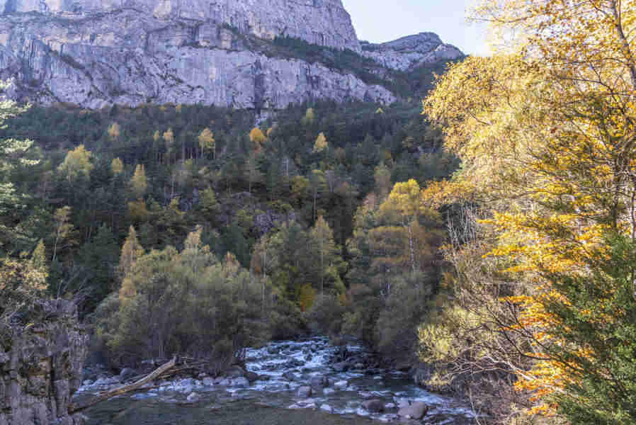 Huesca - valle de Broto 6 - rio Ara.jpg